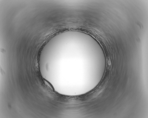 X0000091351252200708101031