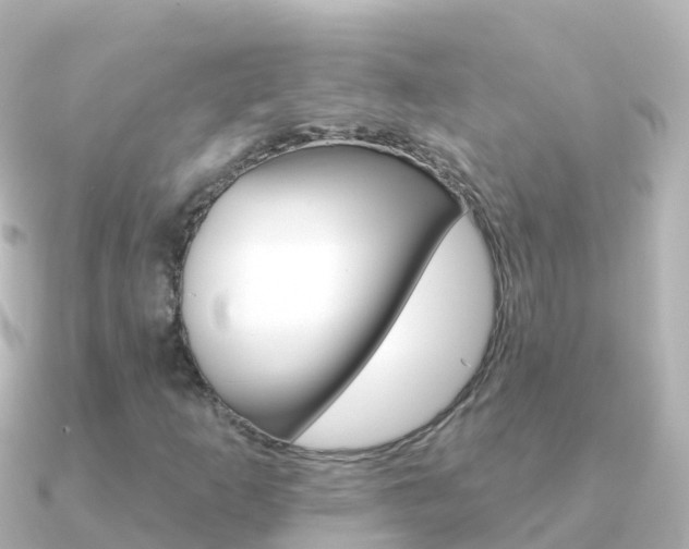 X0000091351253200708101031