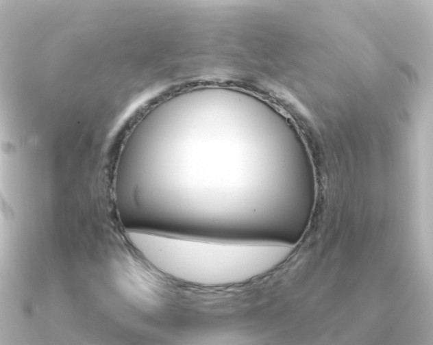 X0000091351256200708101031