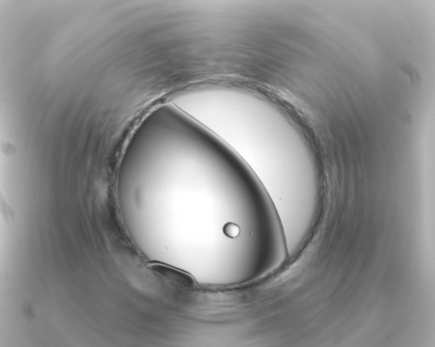 X0000091351257200708101031