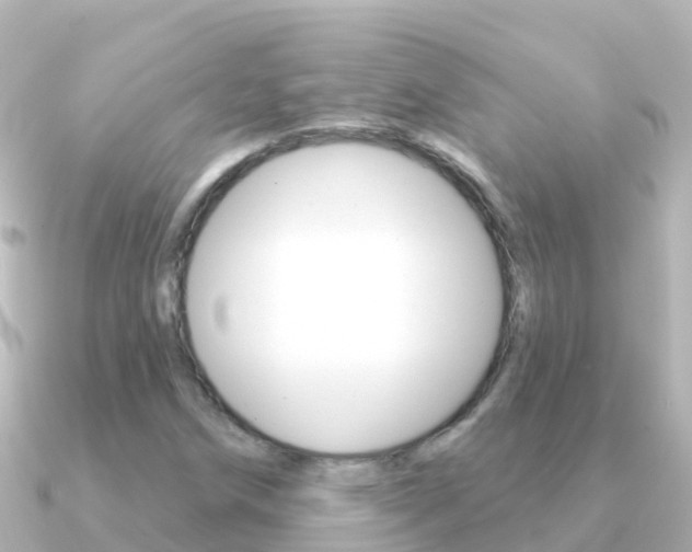 X0000091351258200708101031