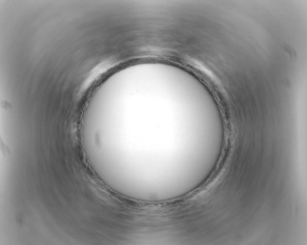 X0000091351259200708101031