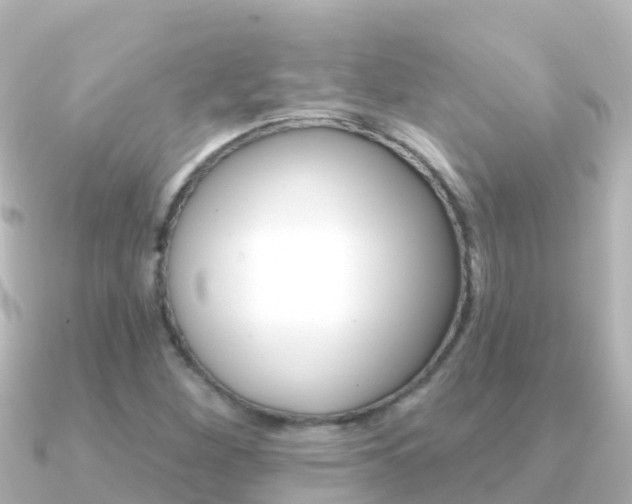 X0000091351260200708101031