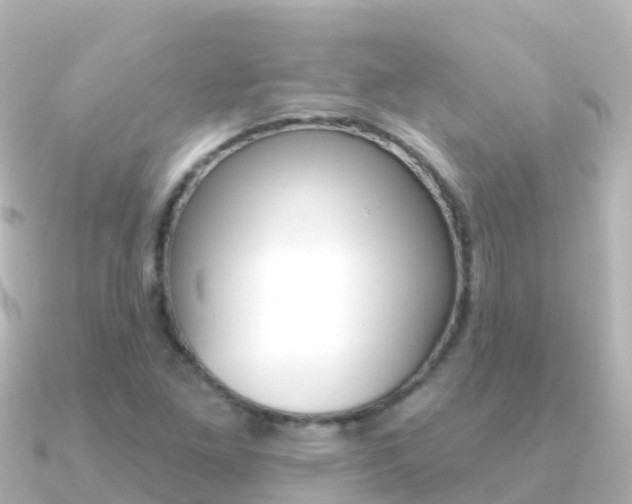 X0000091351261200708101031