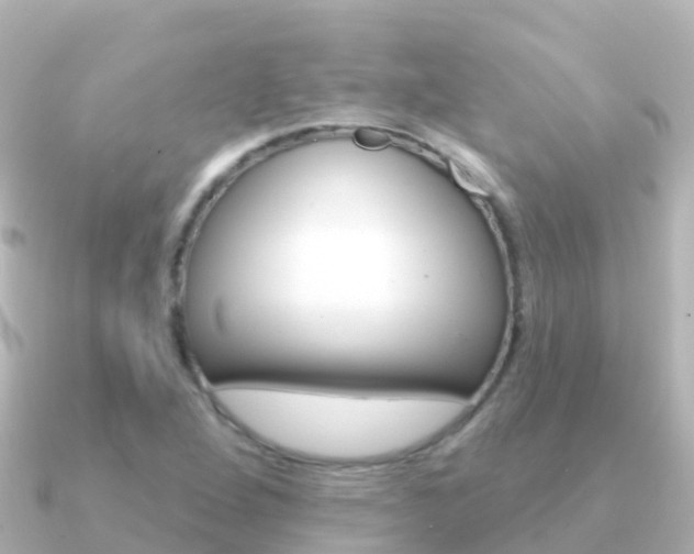 X0000091351264200708101031