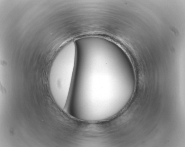X0000091351265200708101031