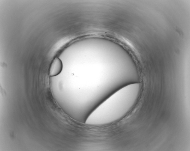 X0000091351267200708101031