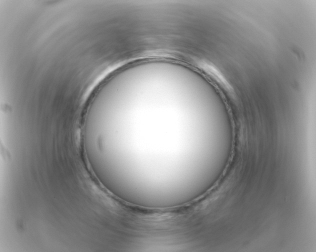 X0000091351268200708101031