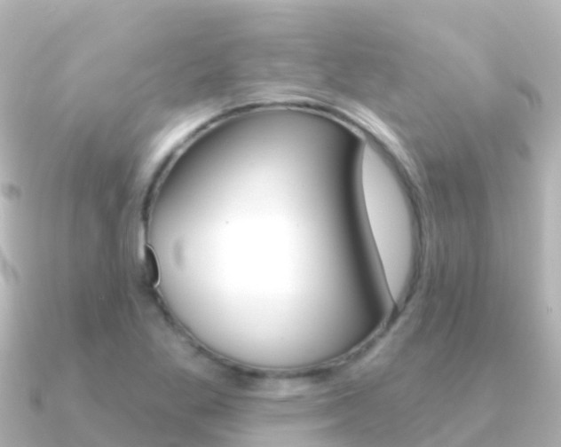X0000091351269200708101030