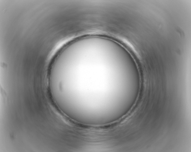 X0000091351270200708101030