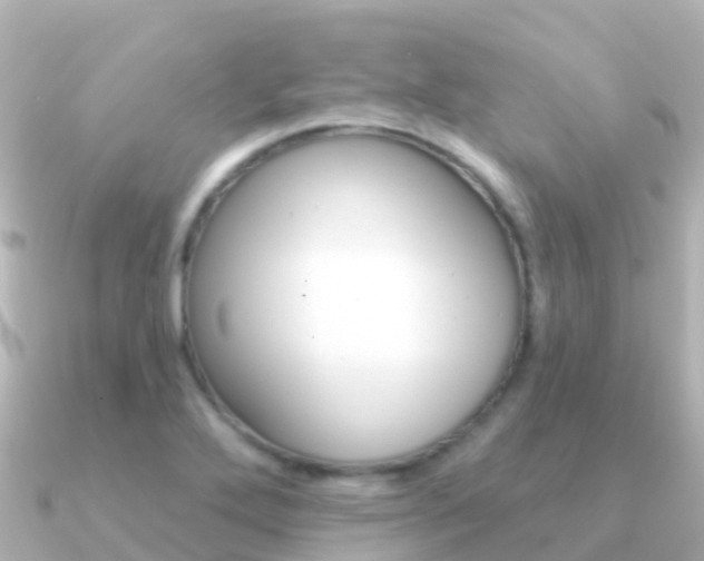 X0000091351272200708101030
