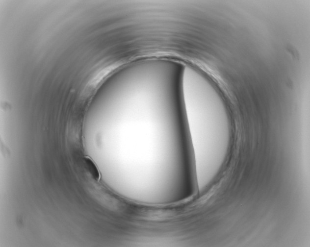 X0000091351273200708101030
