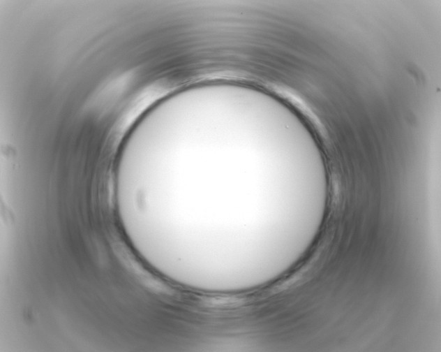 X0000091351274200708101030