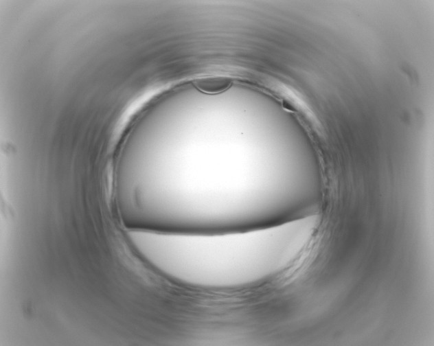 X0000091351275200708101030