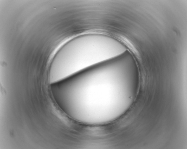 X0000091351276200708101030