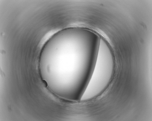 X0000091351277200708101030