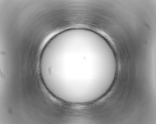X0000091351278200708101030