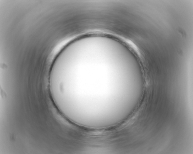 X0000091351279200708101030