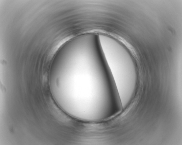 X0000091351281200708101030