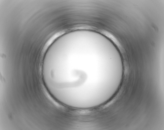 X0000091351282200708101030