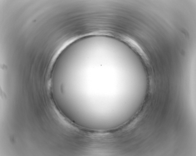 X0000091351284200708101030