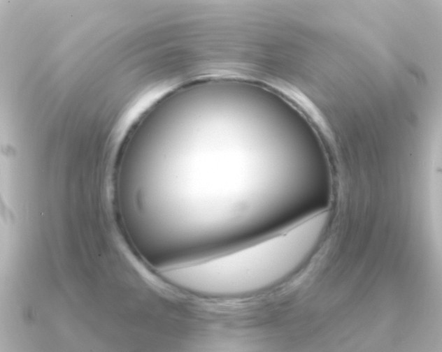 X0000091351285200708101030