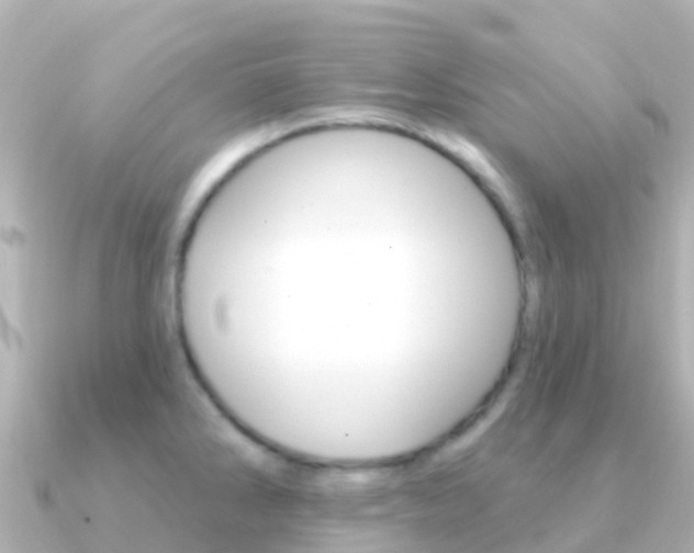 X0000091351286200708101030