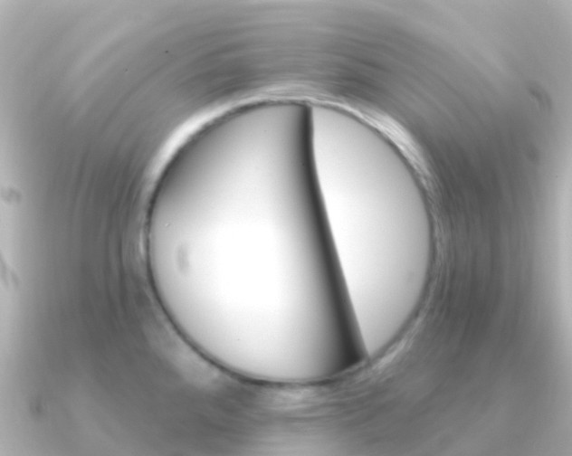 X0000091351288200708101030
