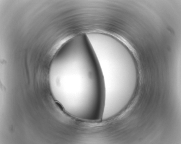 X0000091351289200708101030