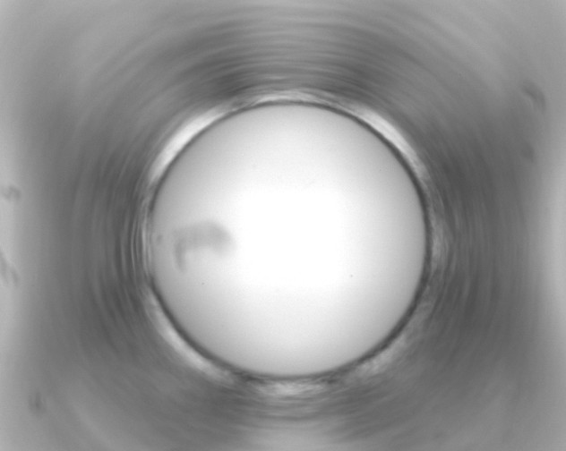 X0000091351290200708101030