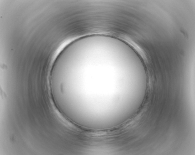 X0000091351291200708101030