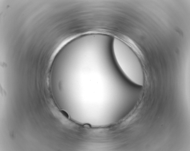 X0000091351292200708101030
