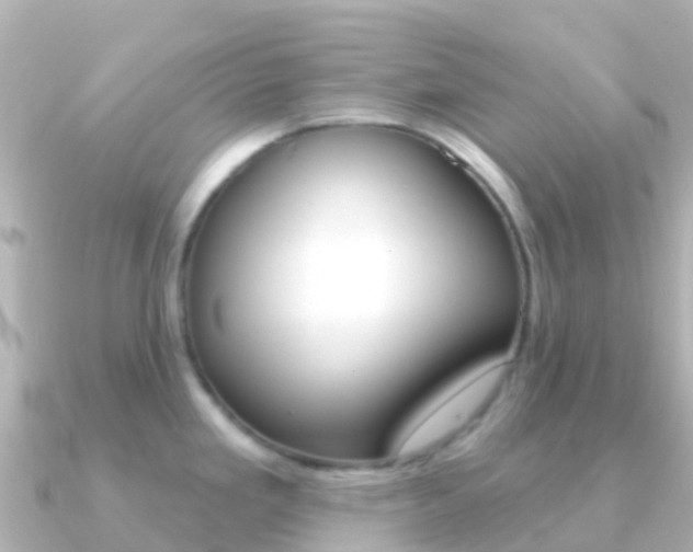 X0000091351293200708101030