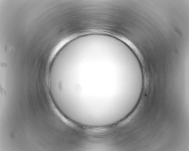 X0000091351294200708101030