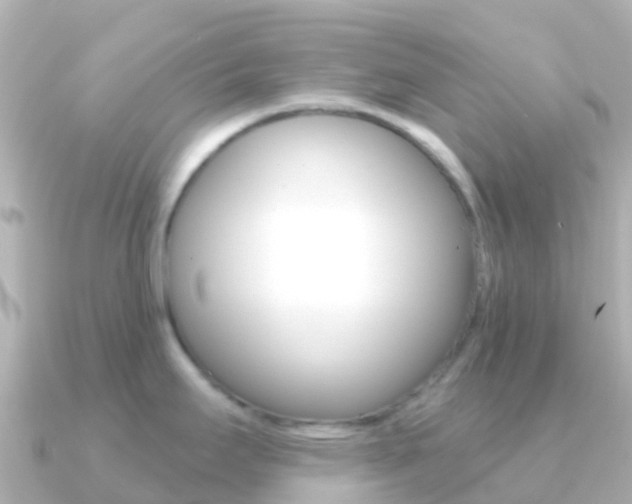 X0000091351295200708101030
