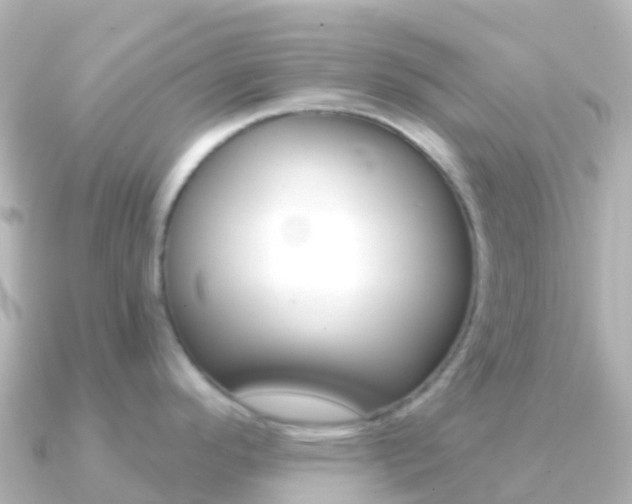 X0000091351296200708101030
