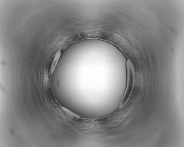 X0000091351298200708101030