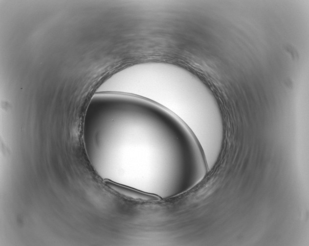 X0000091351300200708101030