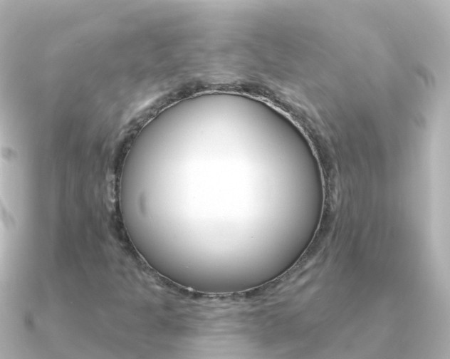 X0000091351301200708101030