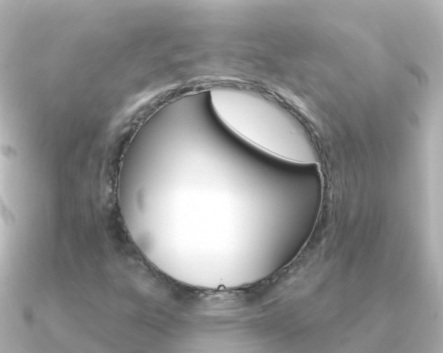 X0000091351303200708101030