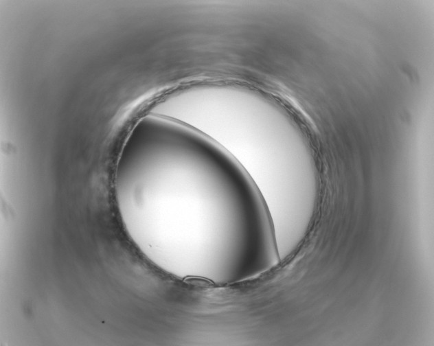 X0000091351304200708101030