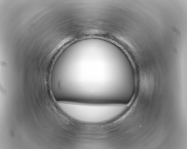 X0000091351305200708101030