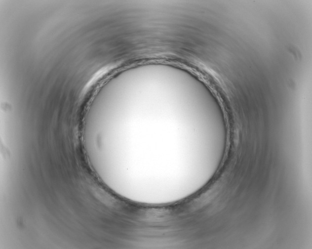 X0000091351306200708101030
