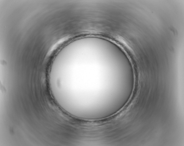 X0000091351307200708101030