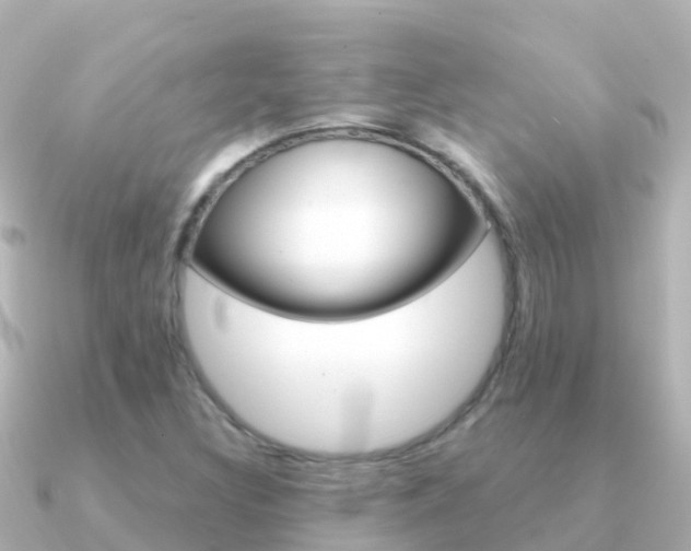 X0000091351308200708101030
