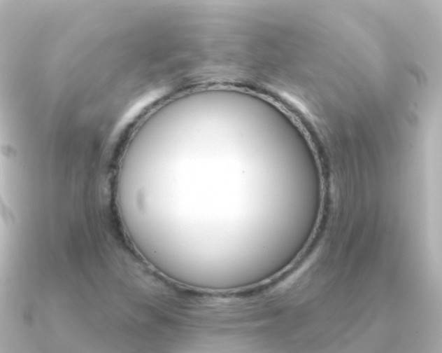 X0000091351309200708101030