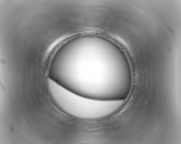 X0000091351310200708101030