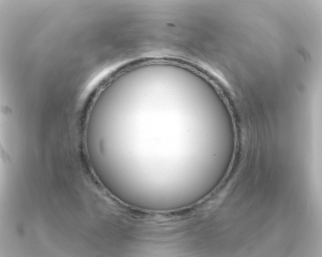 X0000091351311200708101030