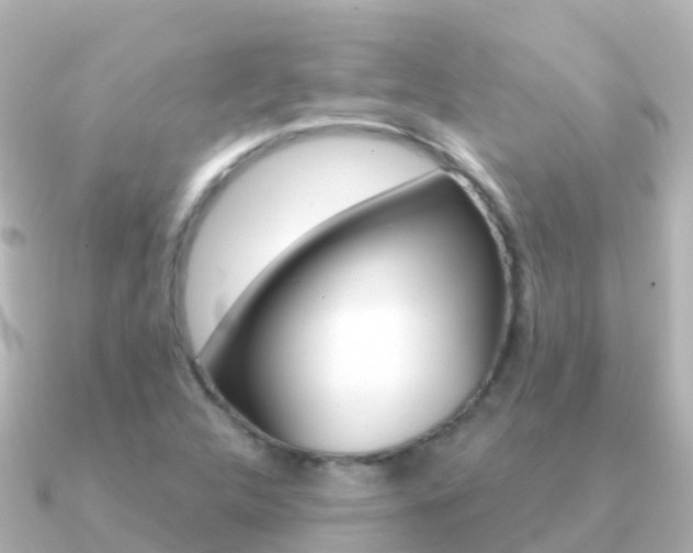 X0000091351312200708101030