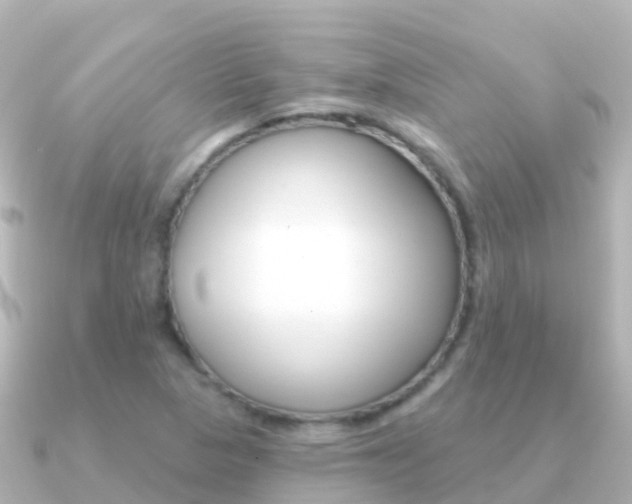 X0000091351313200708101030